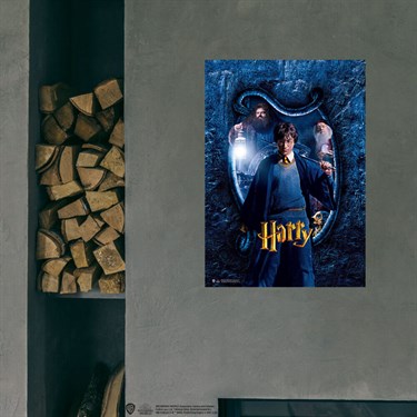 Lisanslı Kuşe Kağıt HD Baskı Harry  Posteri